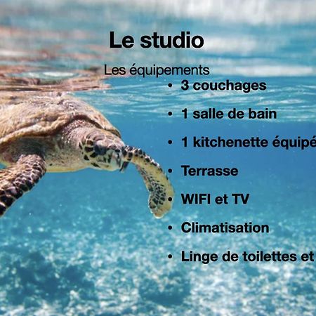 Studio Hippocampe P&V Sainte-Luce Bagian luar foto