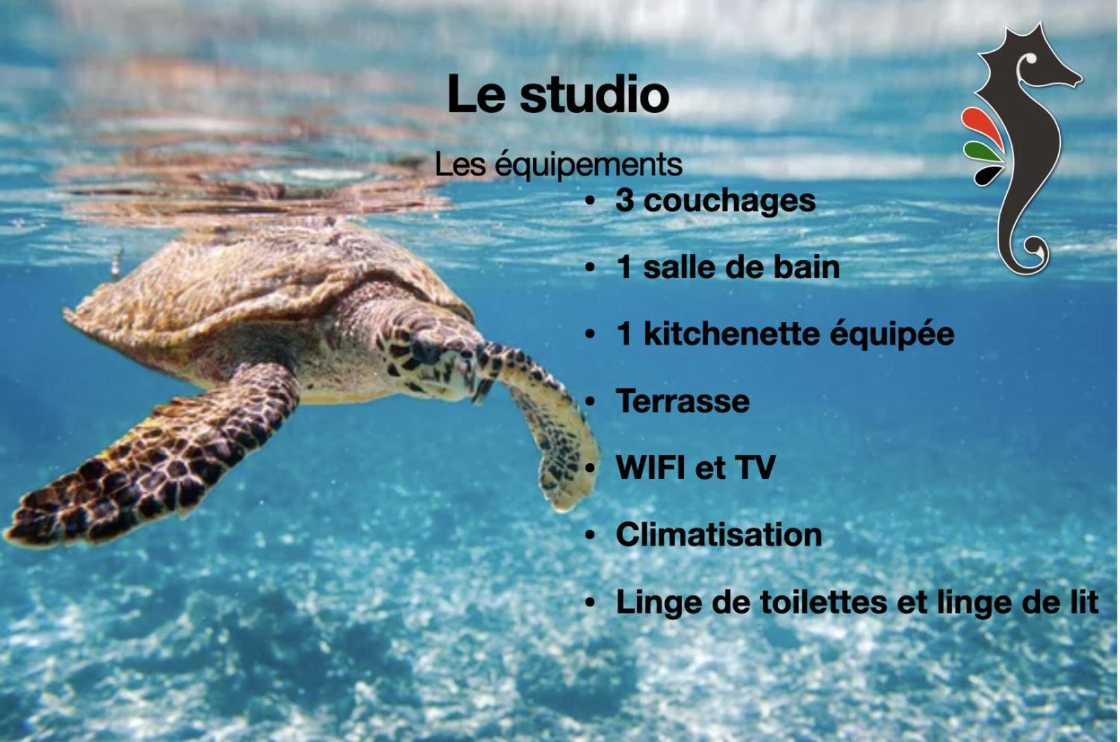 Studio Hippocampe P&V Sainte-Luce Bagian luar foto
